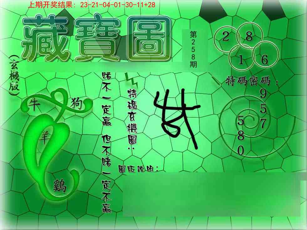 258期九龍玄机报[图]