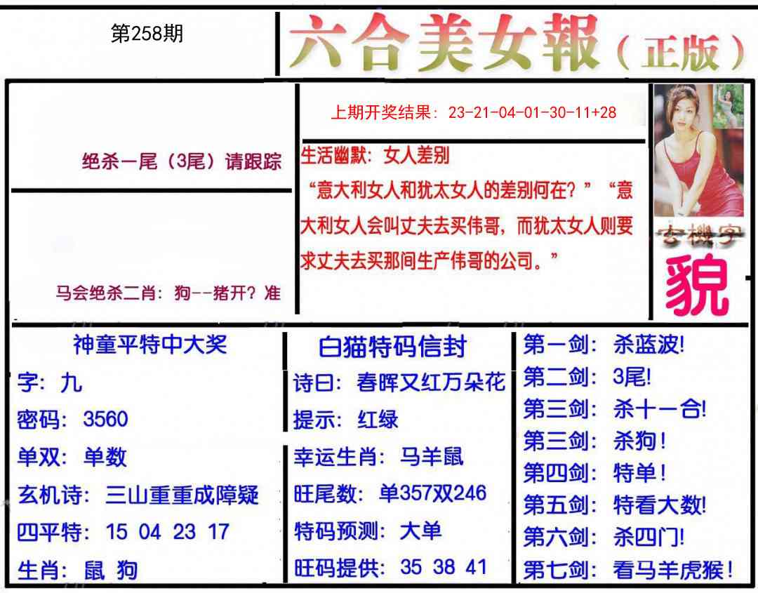 258期美女报[图]