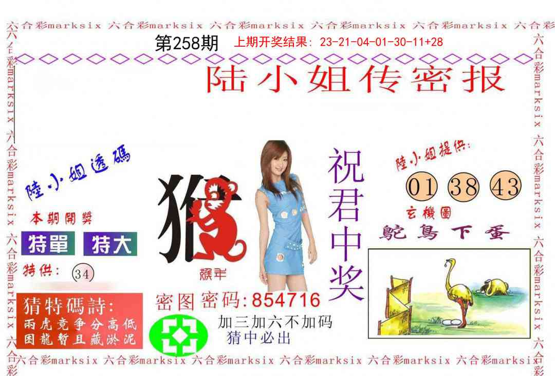 258期陆小姐传密A[图]