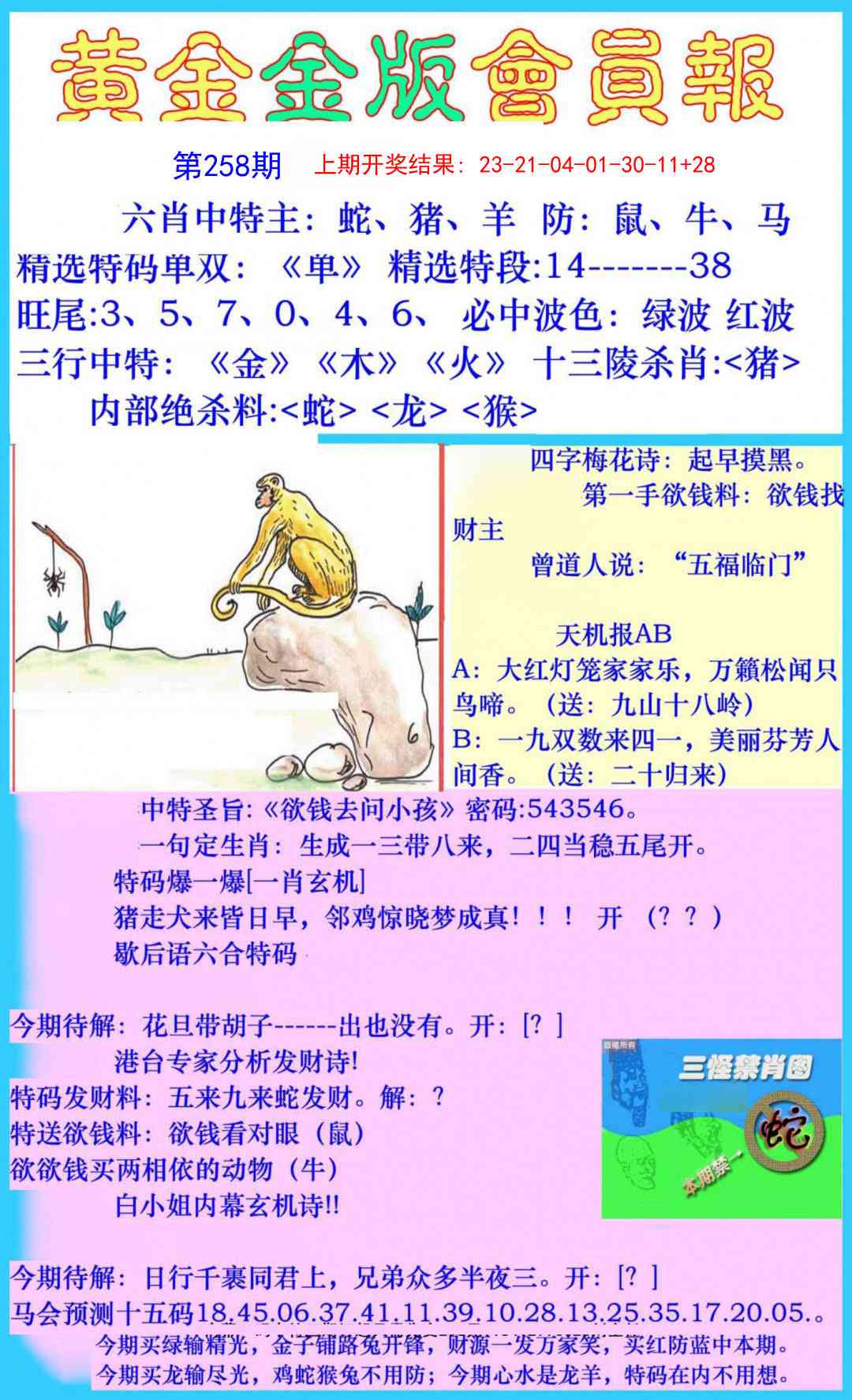 258期黄金金版会员报[图]