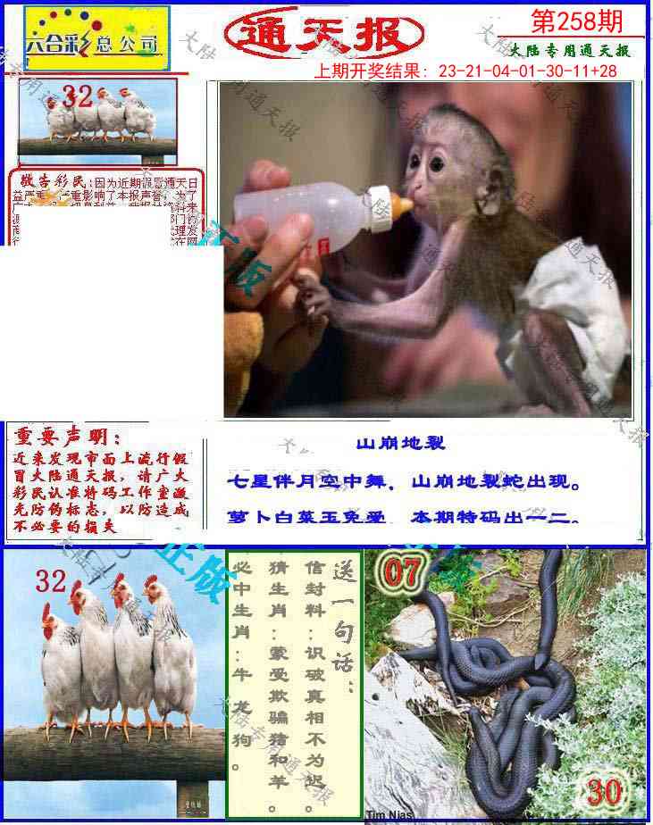 258期大陆通天报[图]