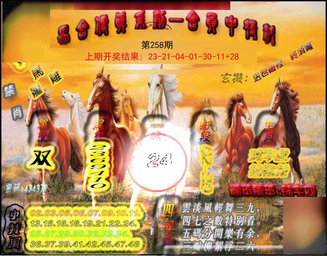 258期马会传真-会员报[图]
