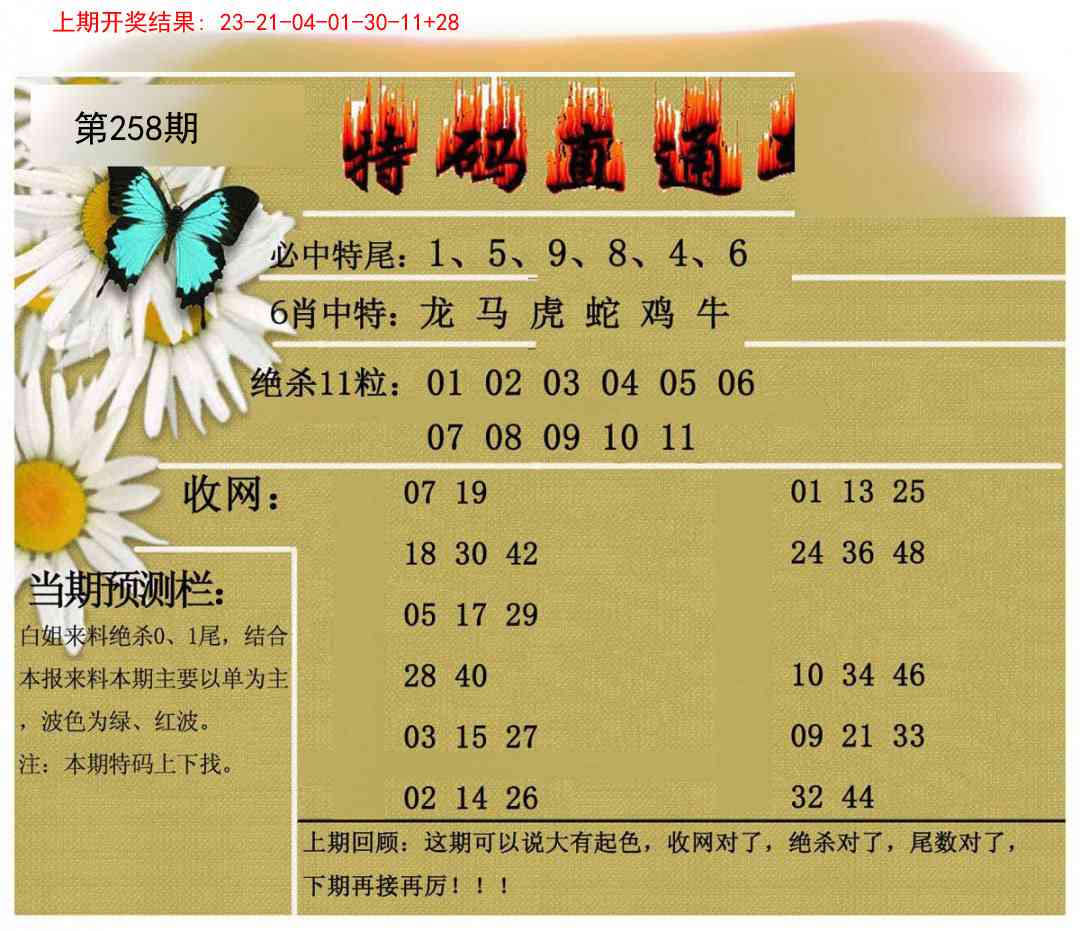 258期特码直通车[图]