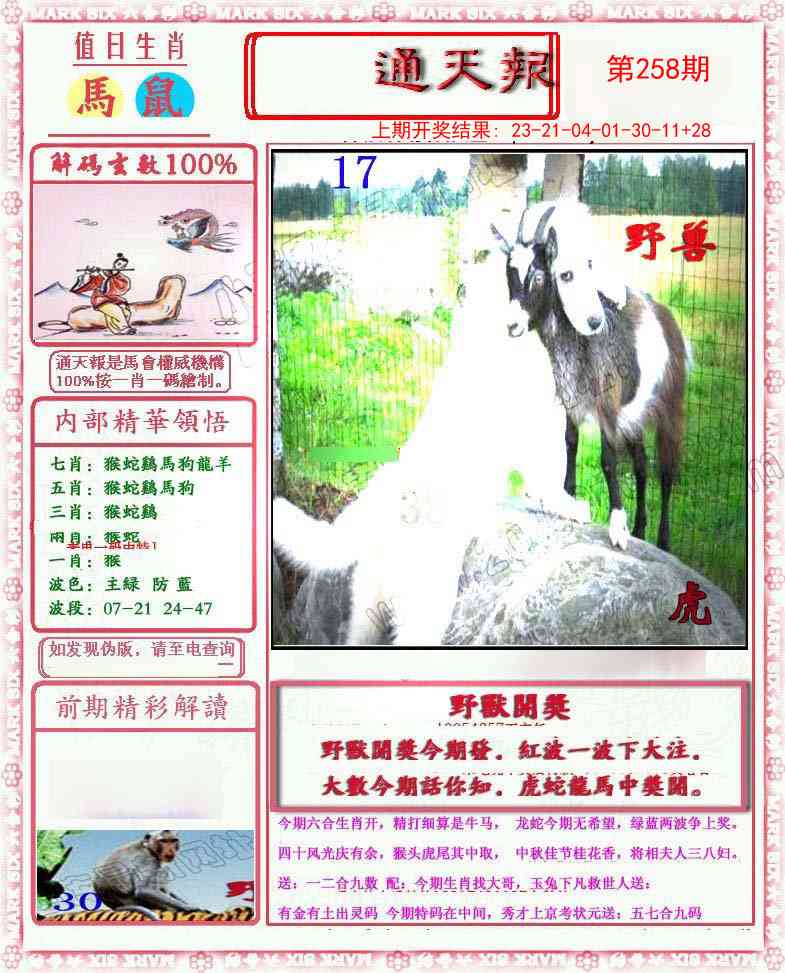 258期小喜通天报[图]