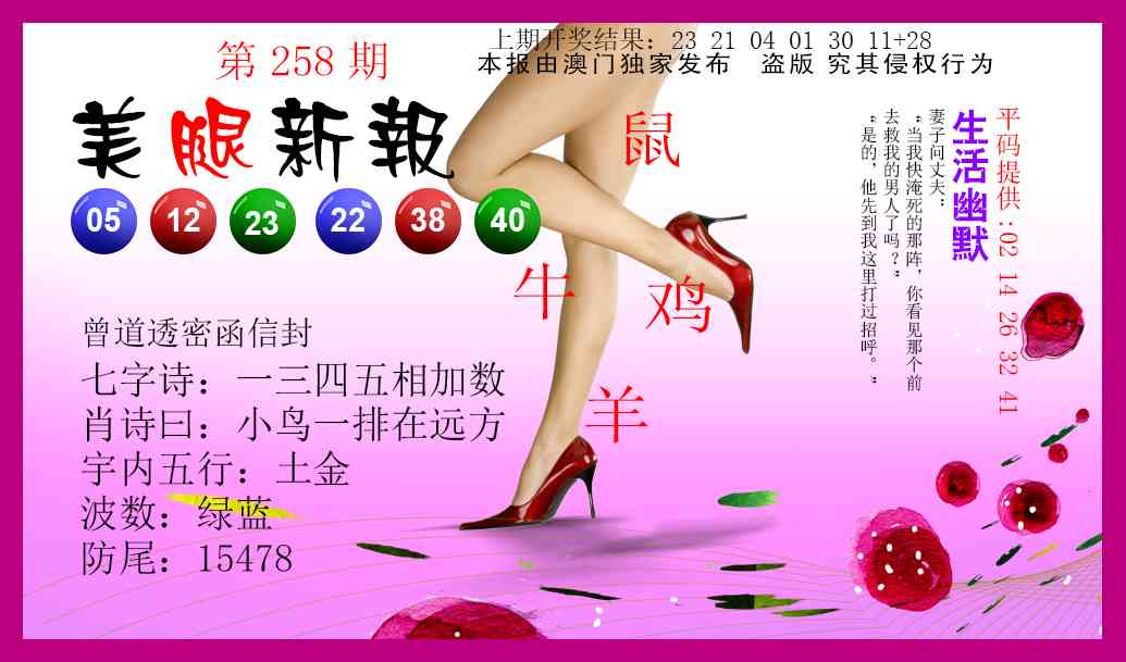 258期美腿新报[图]