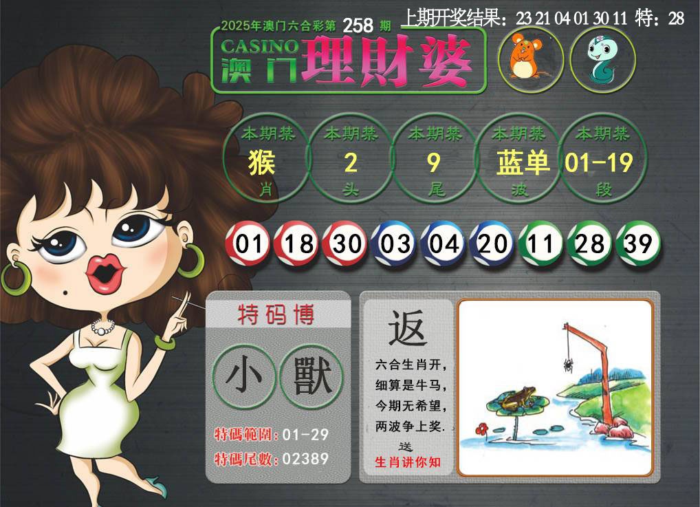 258期澳门理财婆[图]