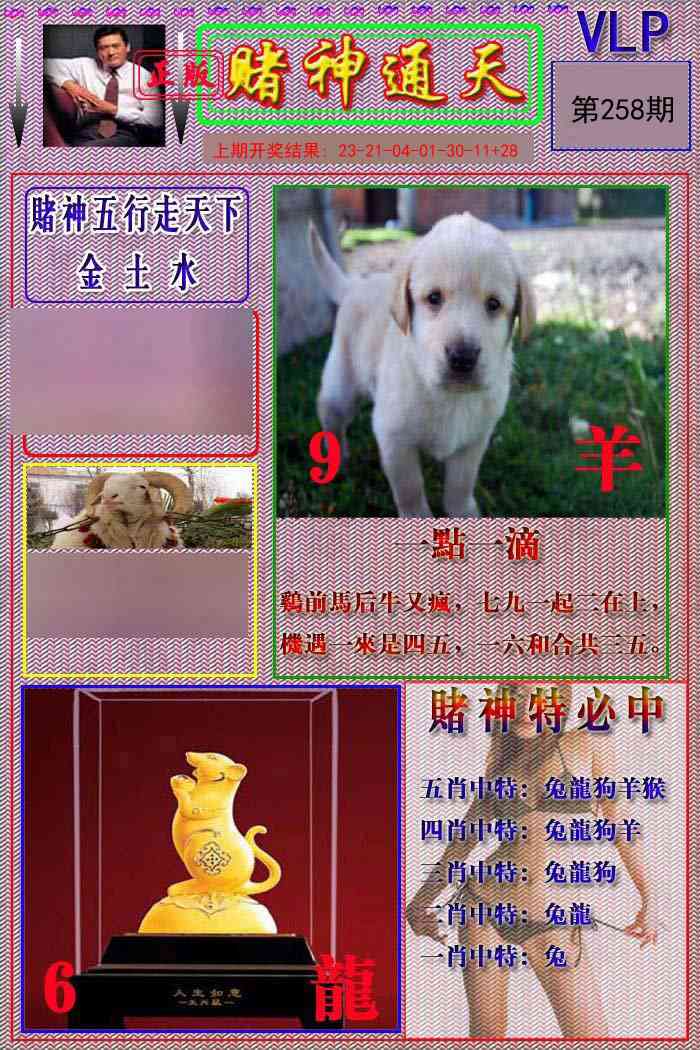 258期赌神通天报[图]
