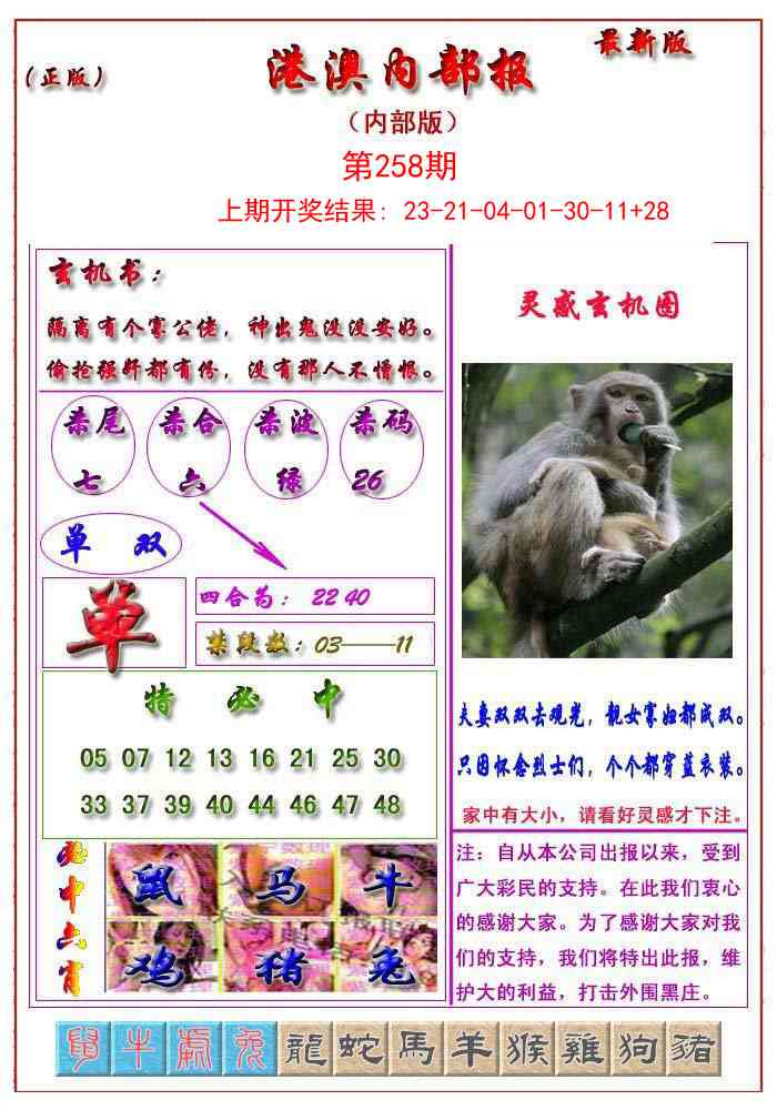 258期港澳报[图]