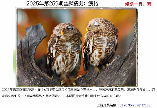 259期幽默猜测[图]