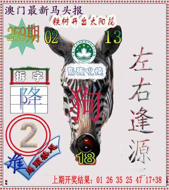 259期马头报[图]