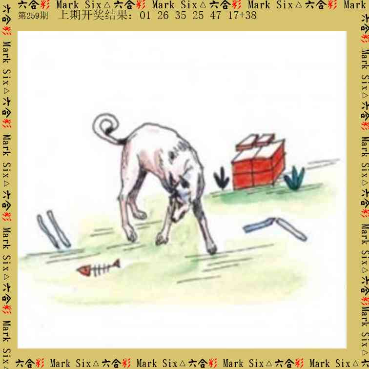 259期藏宝图[图]