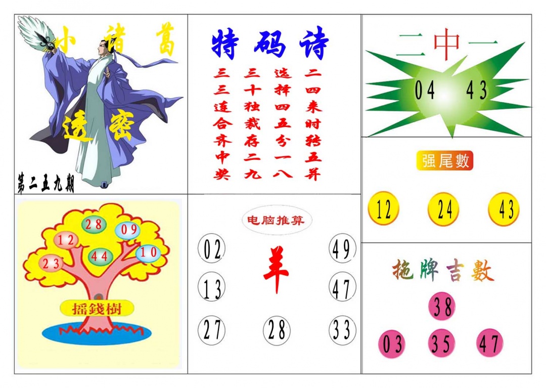 259期小诸葛[图]