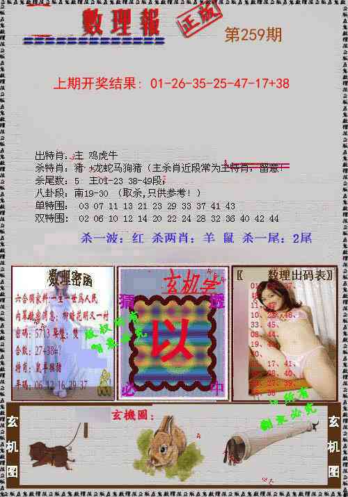 259期数理报[图]