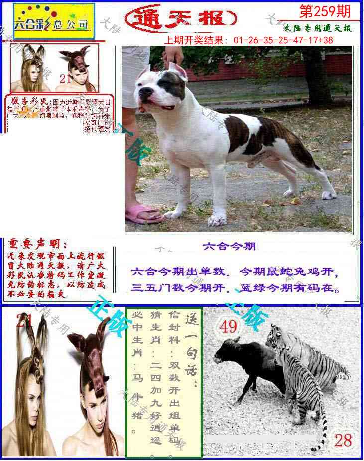 259期大陆通天报[图]