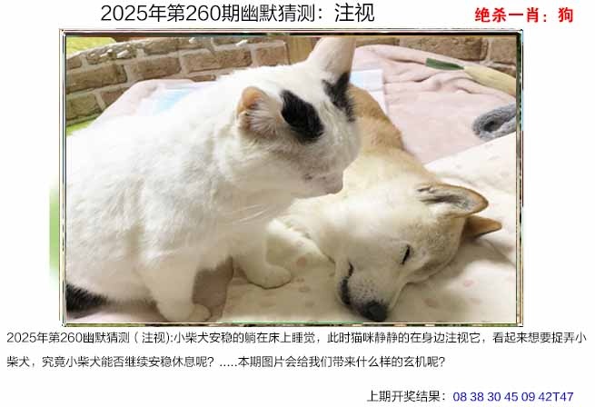 260期幽默猜测[图]