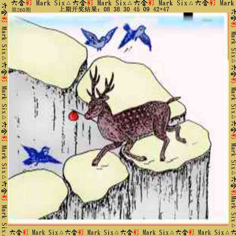 260期藏宝图[图]