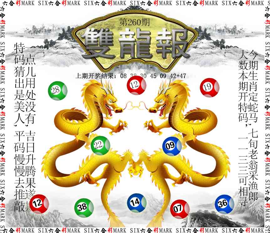 260期双龙报[图]