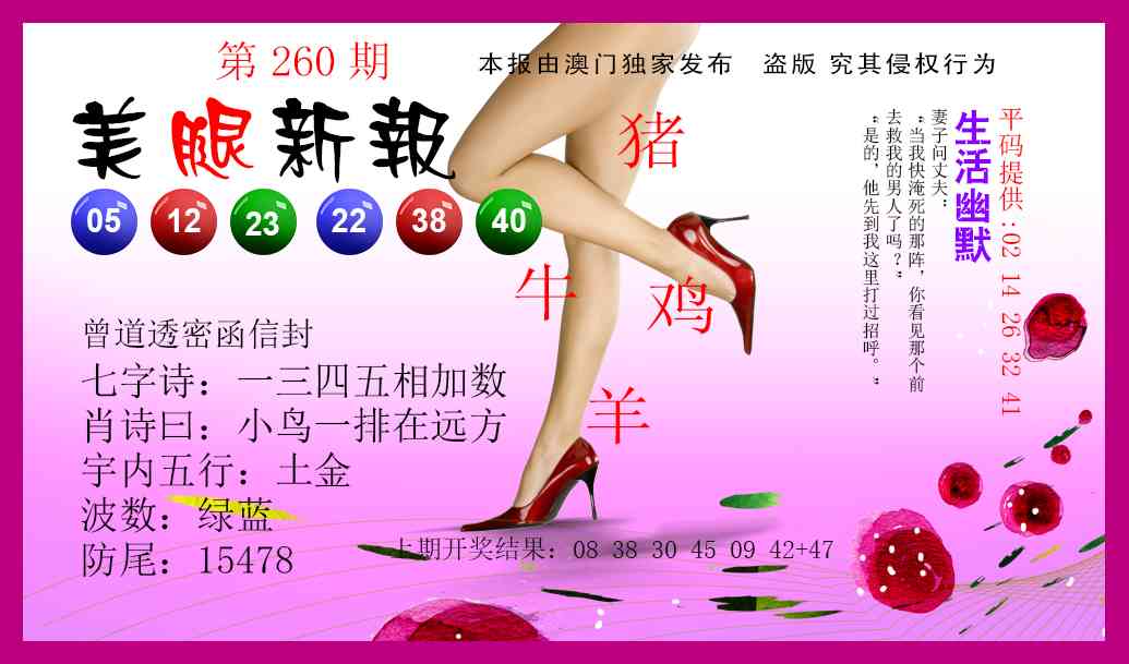 260期美腿新报[图]