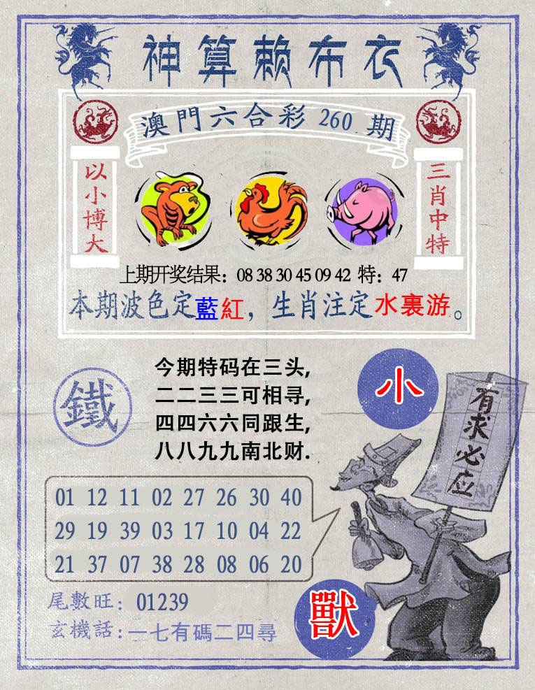 260期神算赖布衣[图]