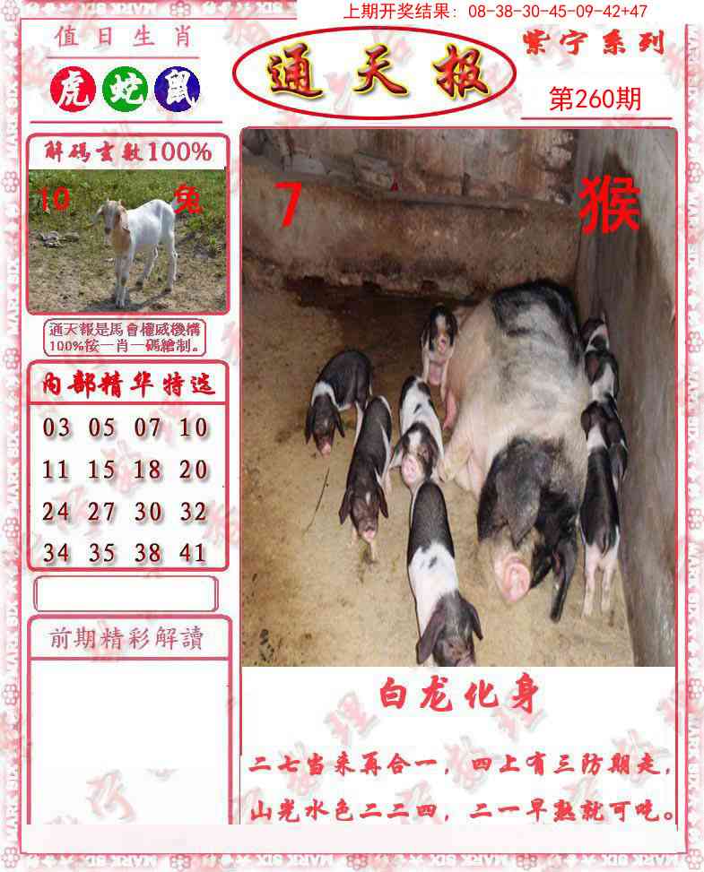 260期救通报[图]