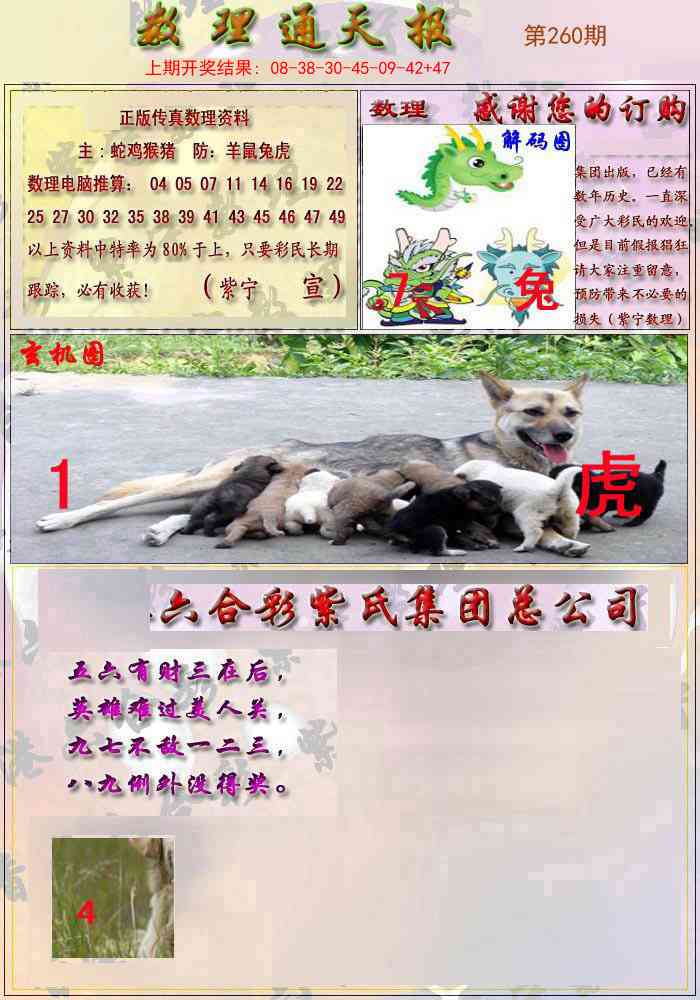 260期数通报[图]