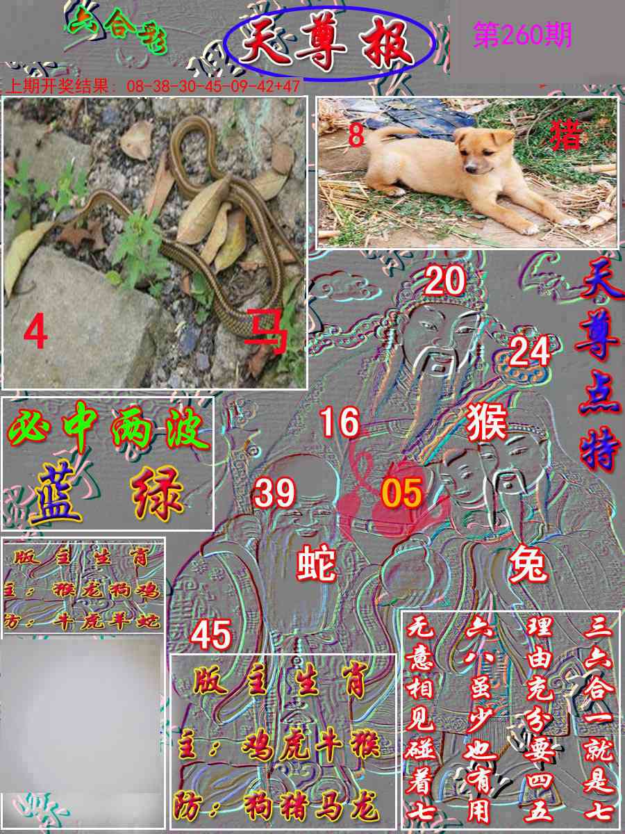 260期天尊报[图]