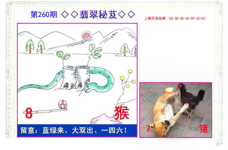 260期翡翠报[图]