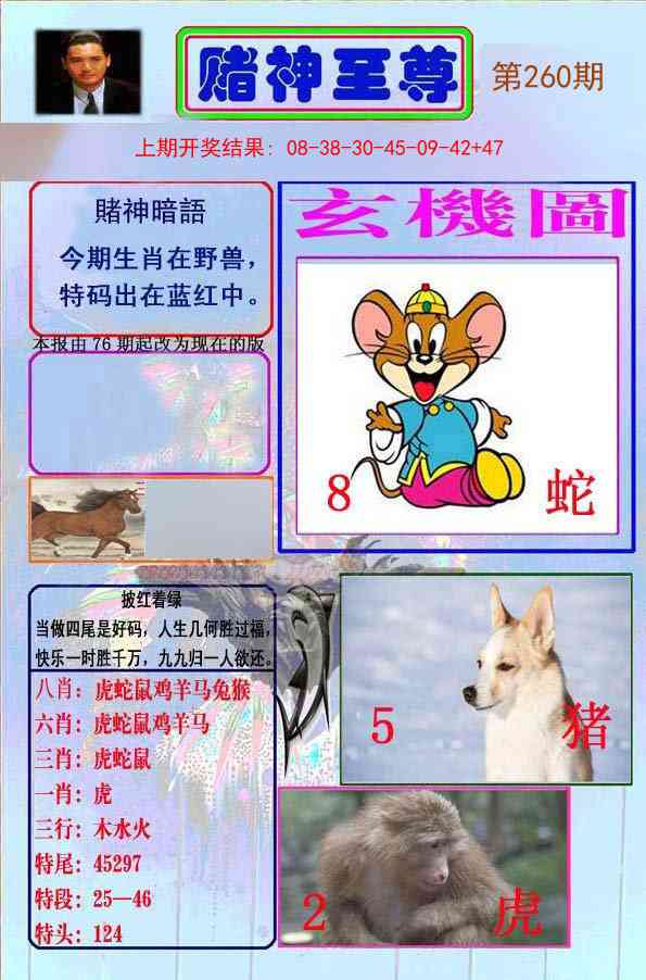 260期赌神至尊[图]