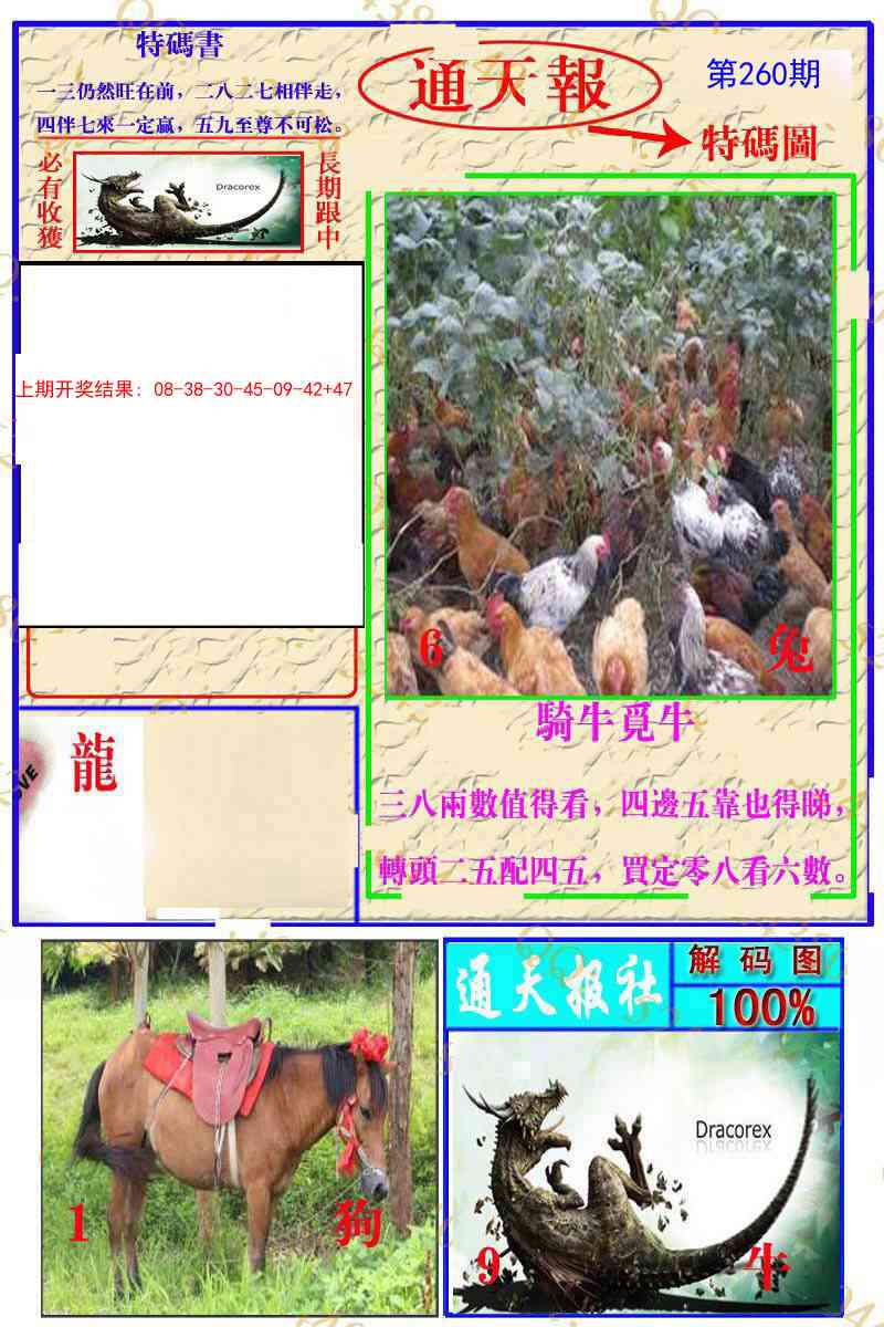 260期通天特解图[图]