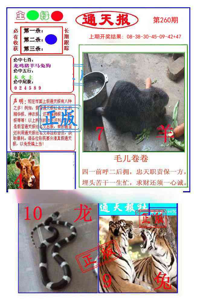 260期通天杀波图1[图]