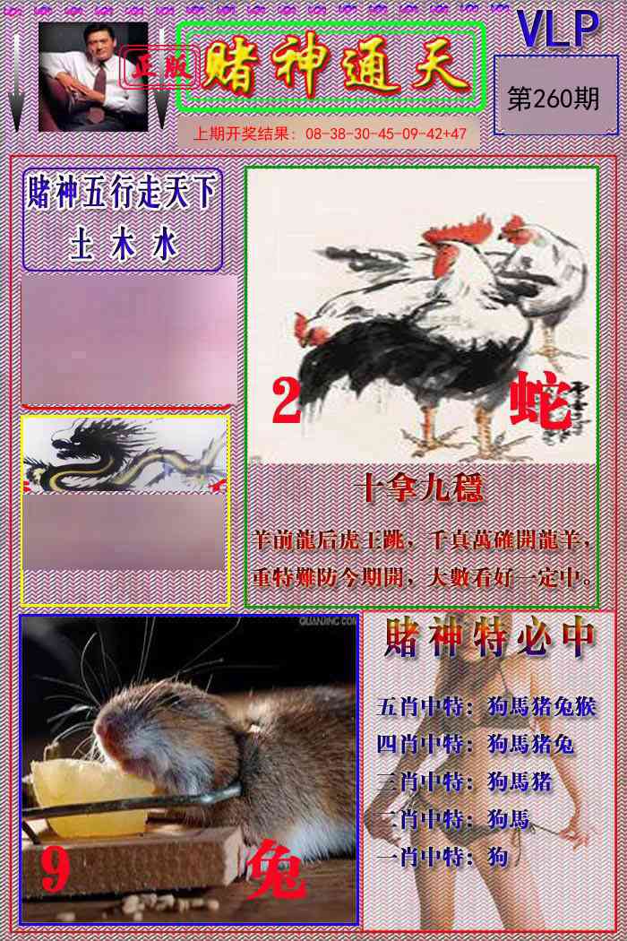 260期赌神通天报[图]