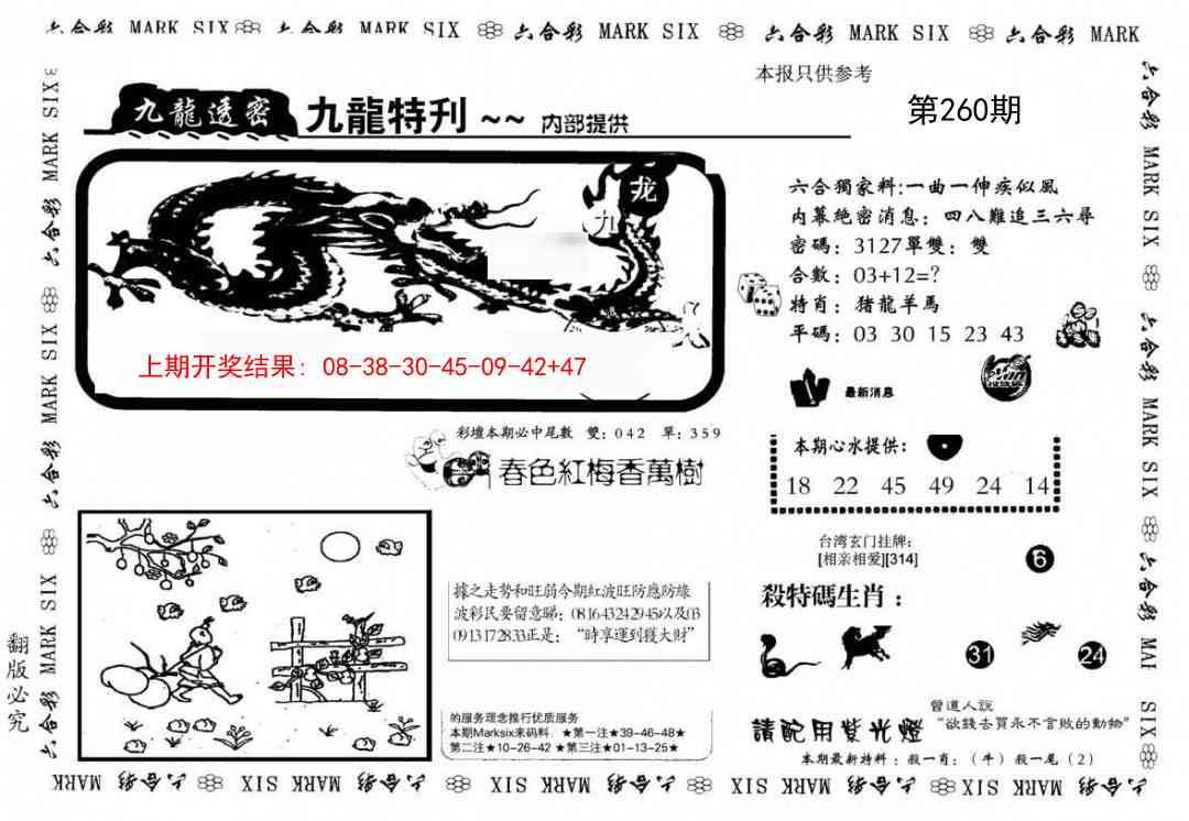 260期九龙特新刊[图]