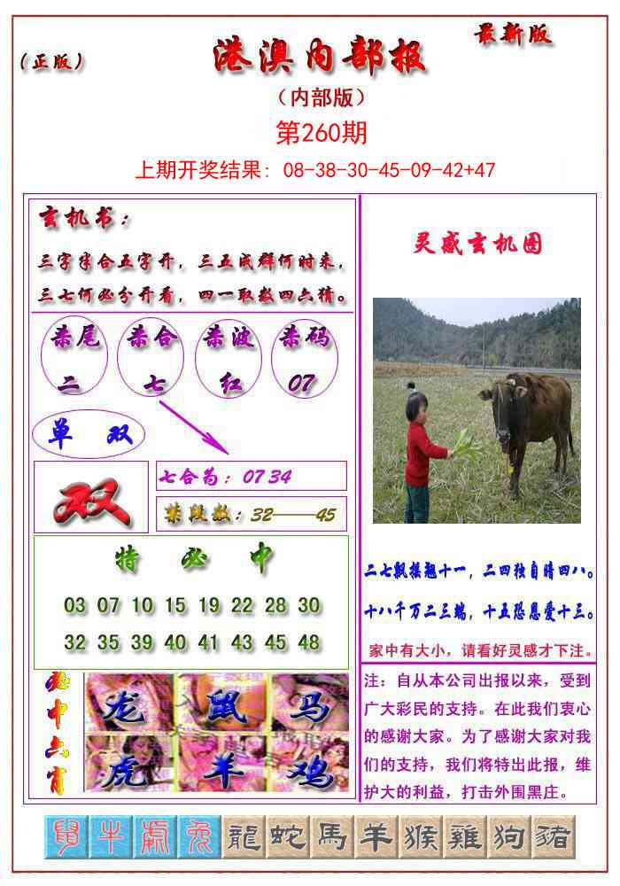 260期港澳报[图]