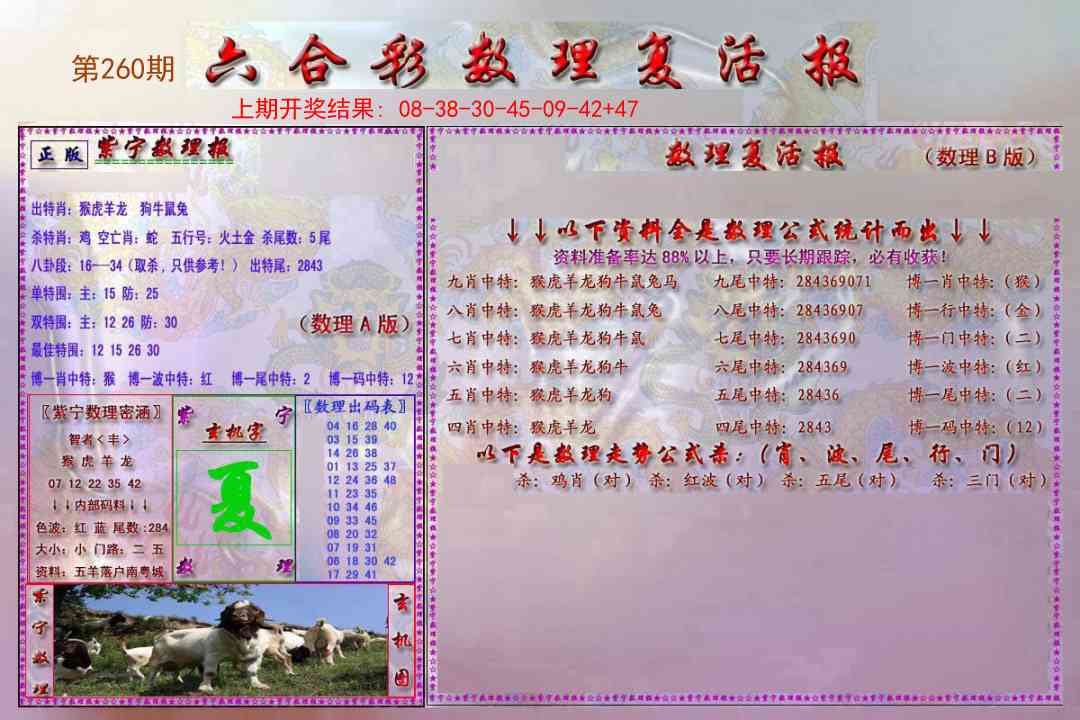 260期数理复活报[图]