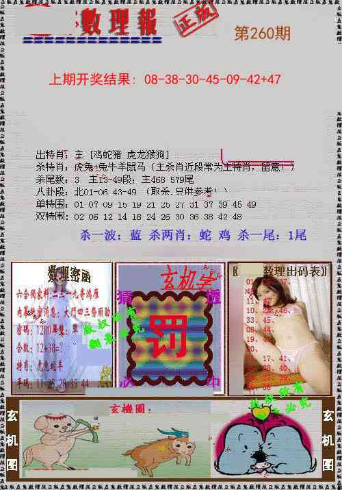 260期数理报[图]