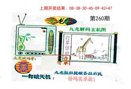 260期九龙报[图]
