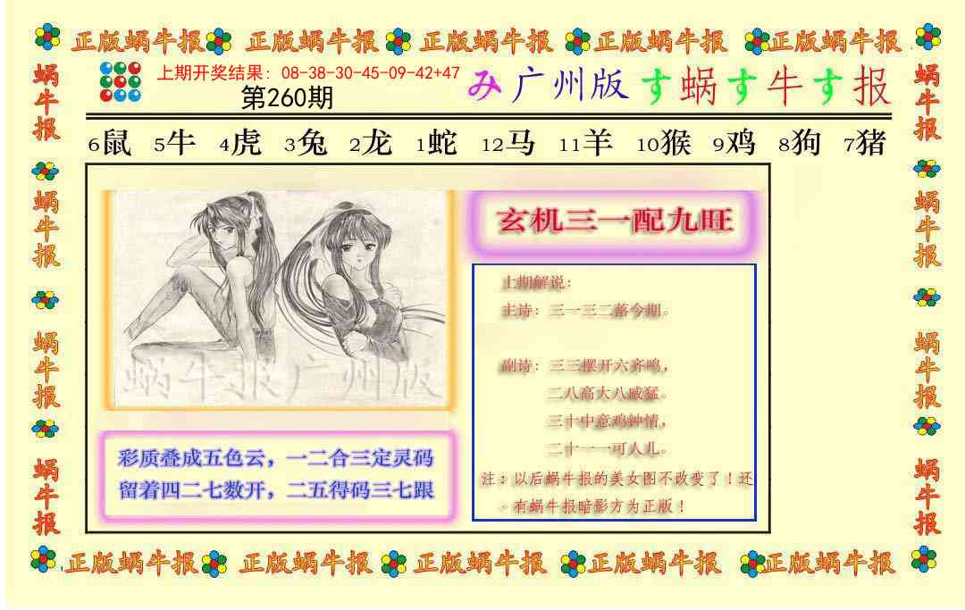 260期正版蜗牛报[图]
