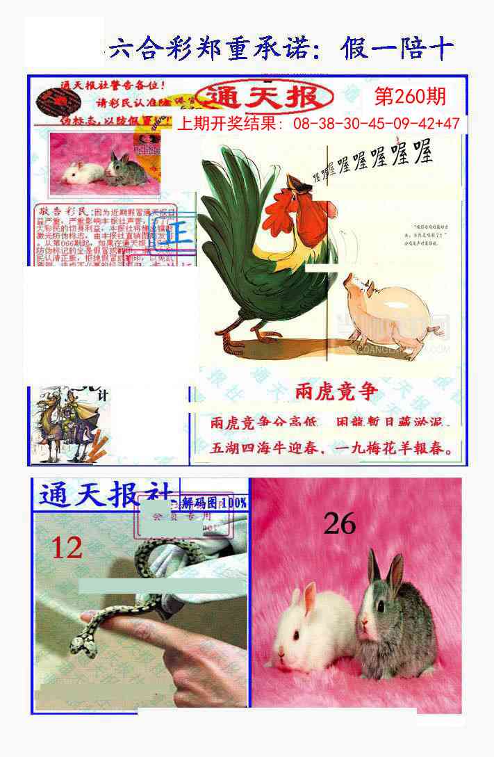260期假一陪十通天报[图]