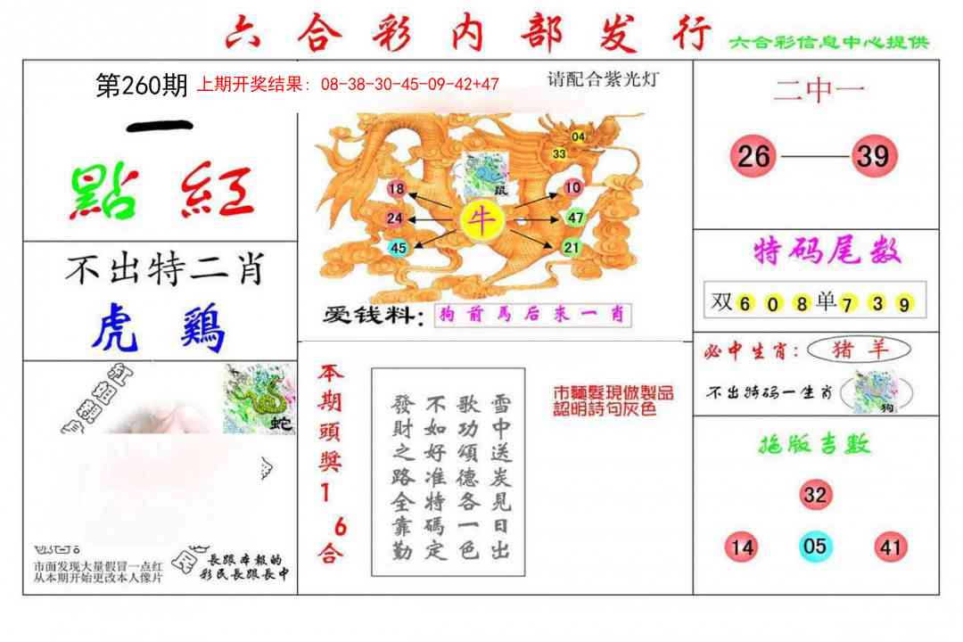 260期一点红[图]