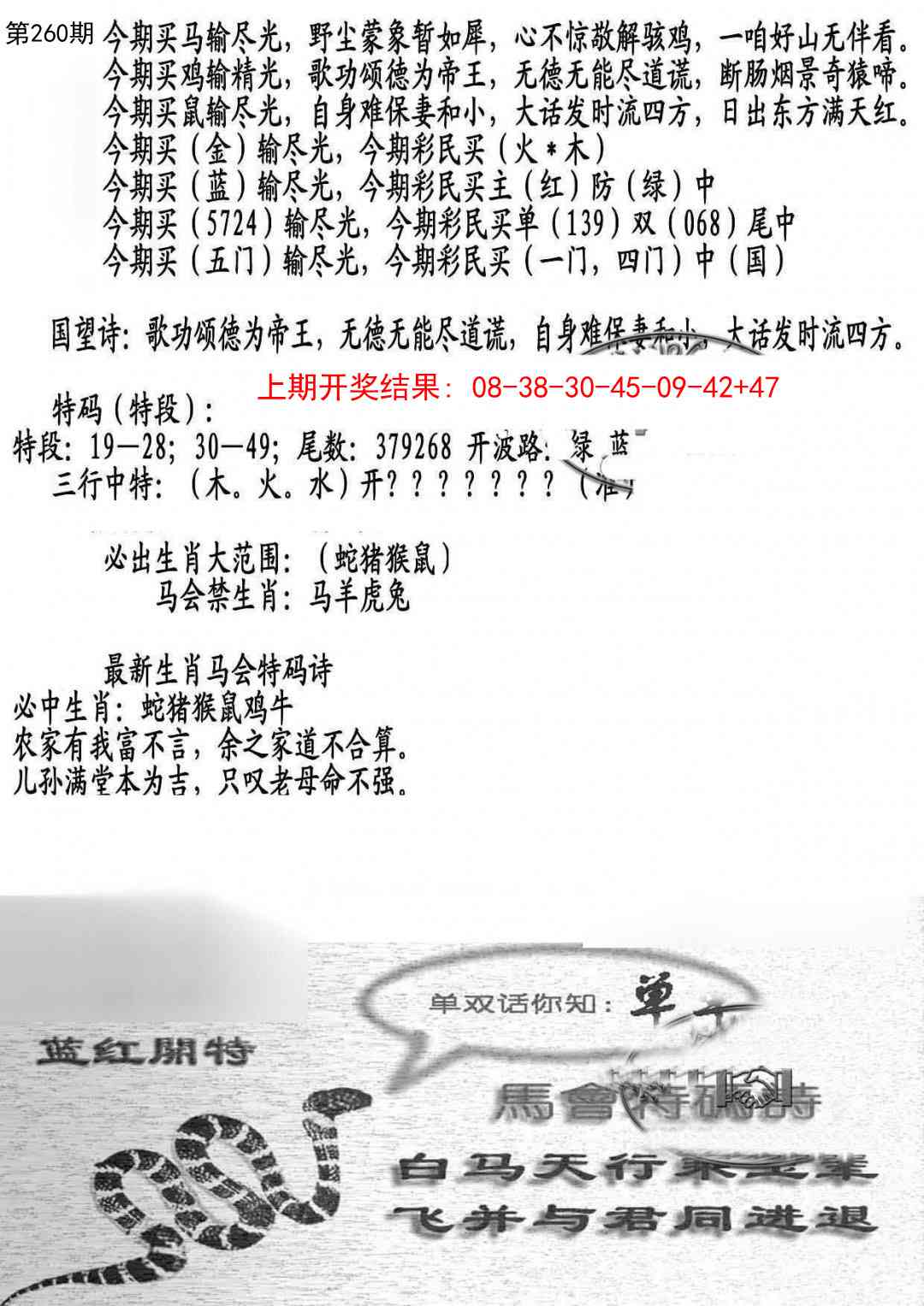260期蛇报B[图]