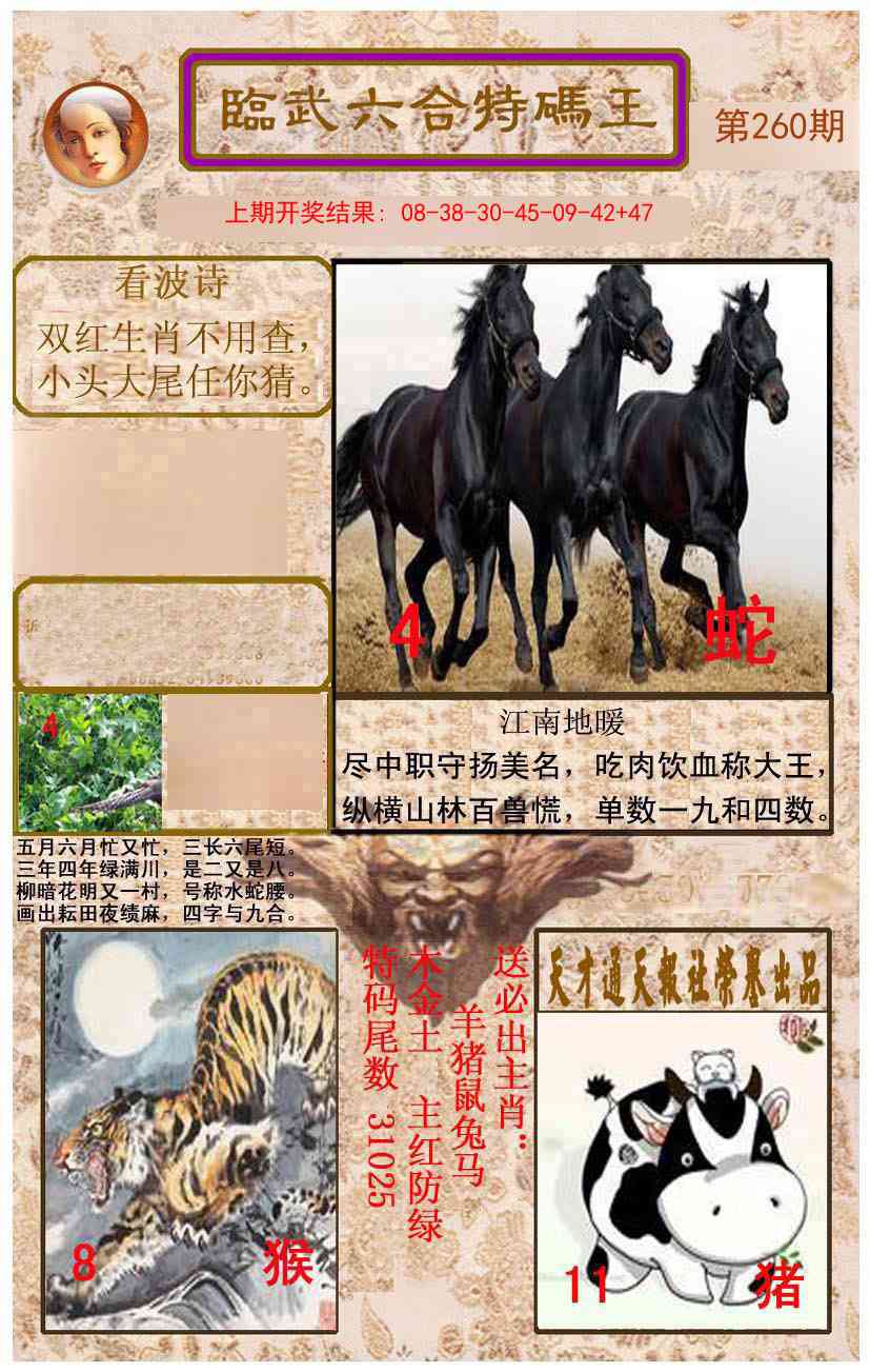 260期临武六合特码王[图]
