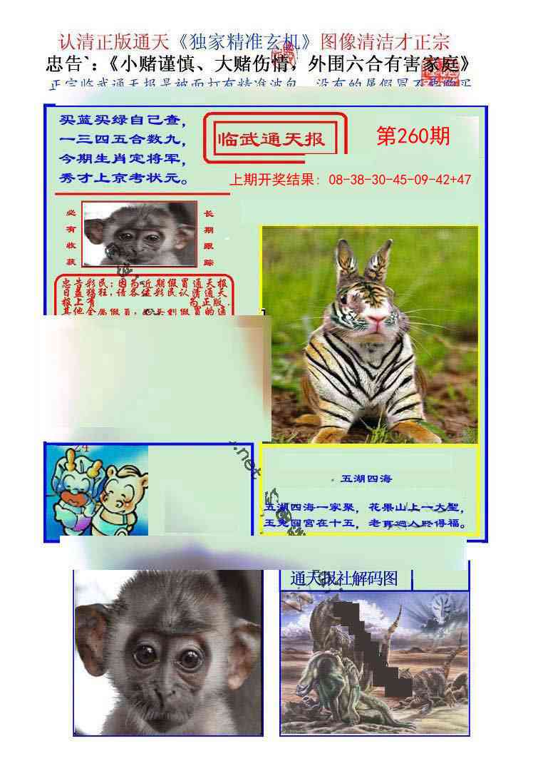 260期临武通天报[图]