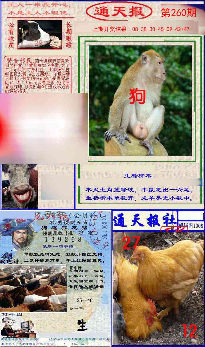 260期实力通天报[图]
