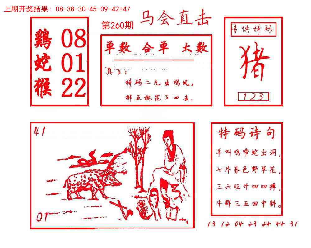 260期马会直击[图]