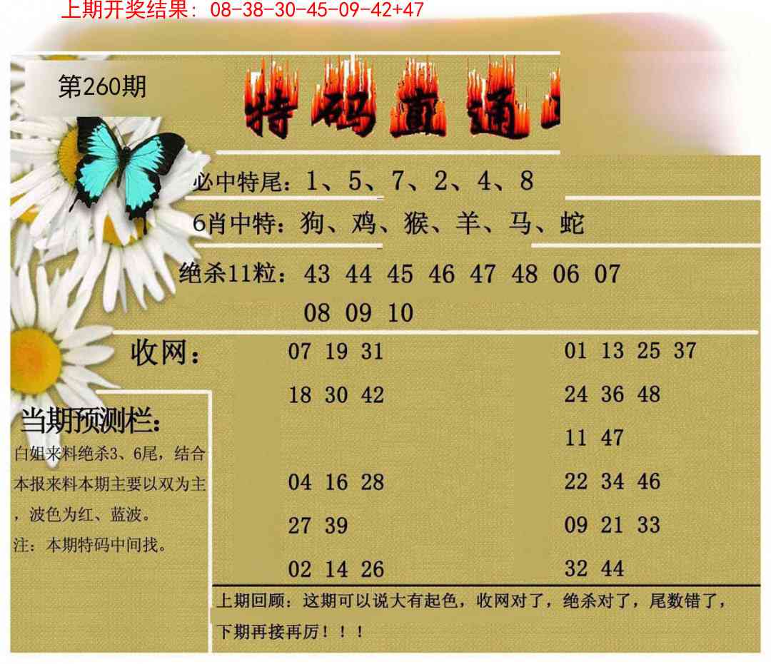 260期特码直通车[图]