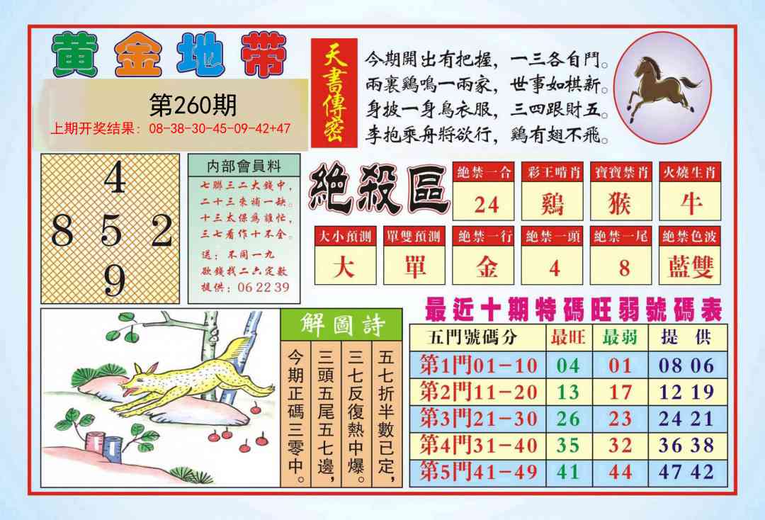 260期黄金地带[图]