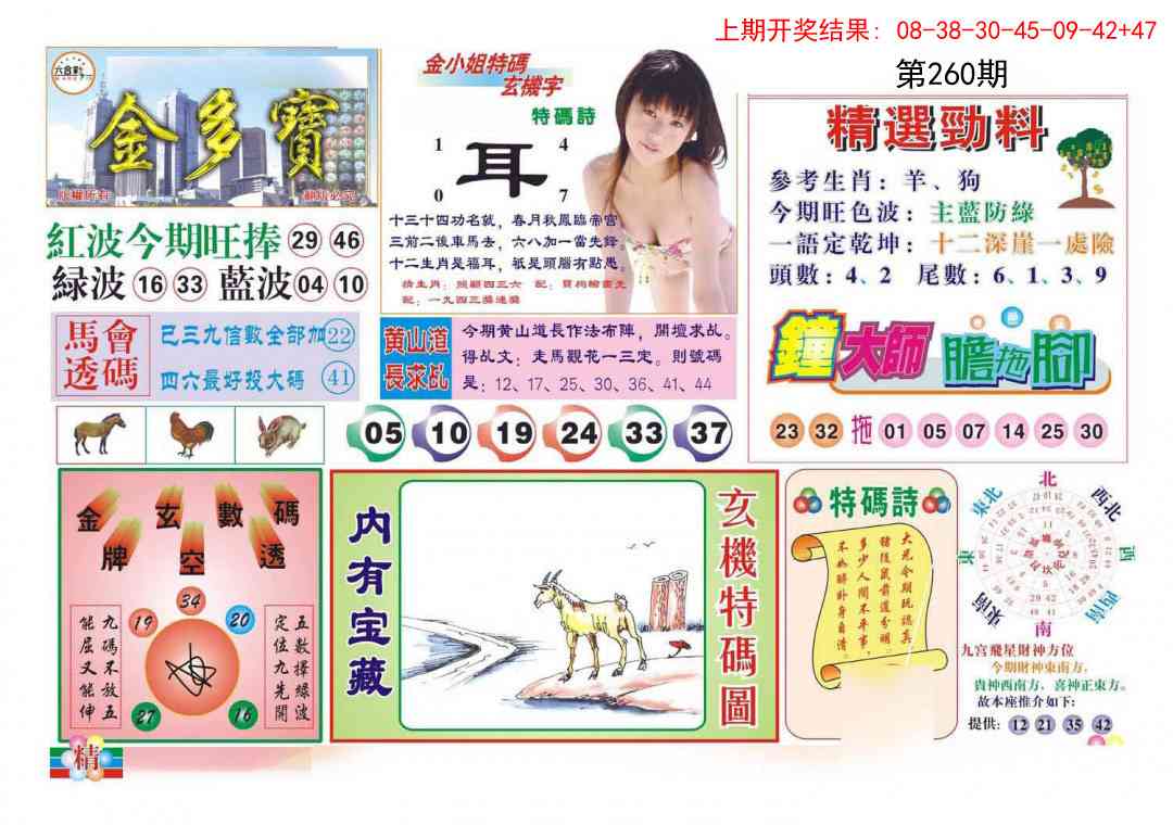 260期金多宝[图]