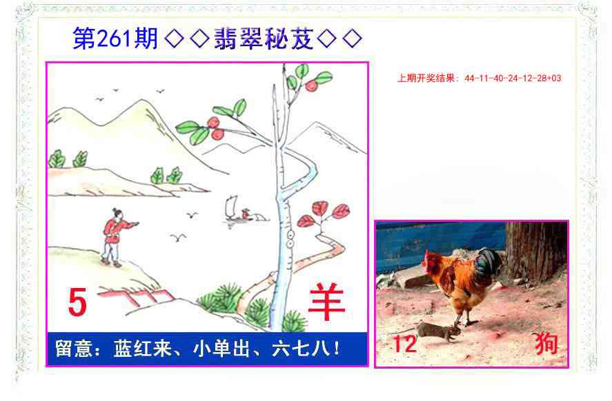 261期翡翠报[图]