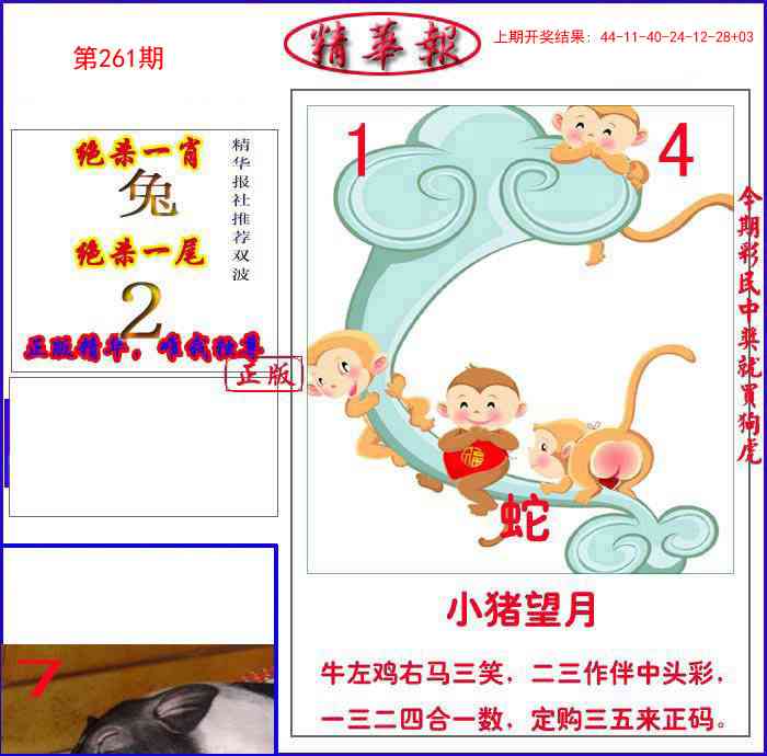 261期新精华报报[图]