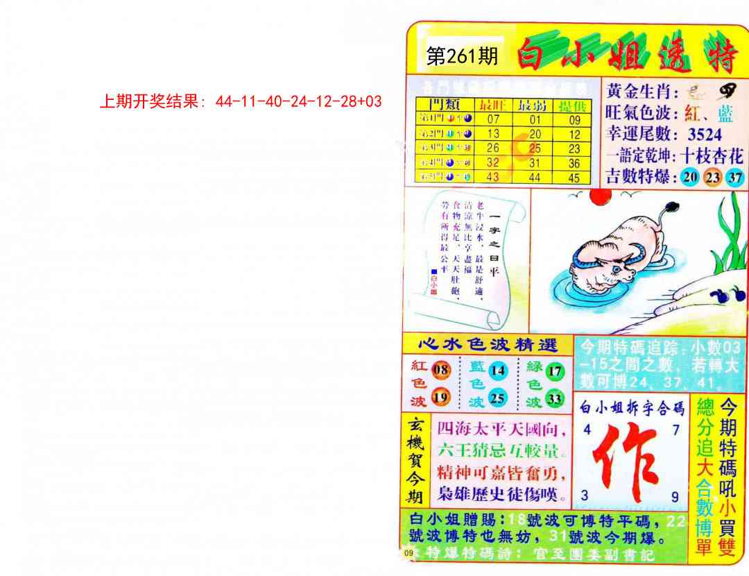 261期白小姐透特[图]